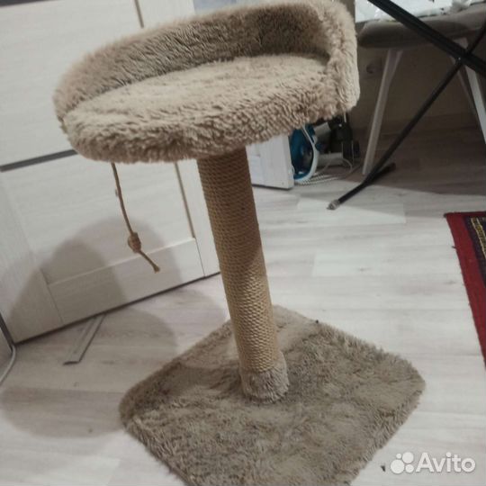 Когтеточка