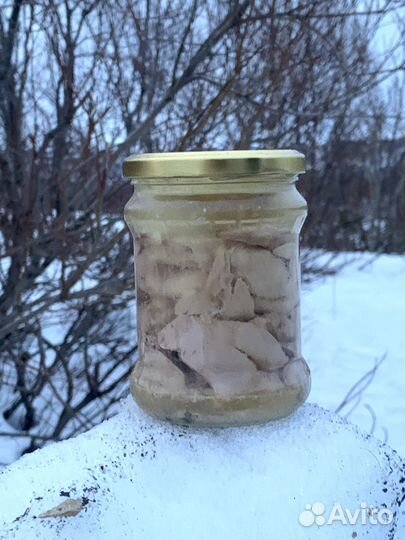 Печень трески стекло