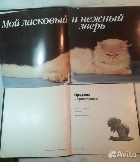 Книга - Фотоальбом СССР, Кошки, Природа, Эрмитаж