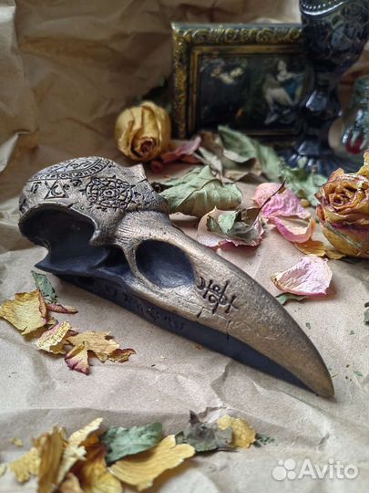 Череп ворона