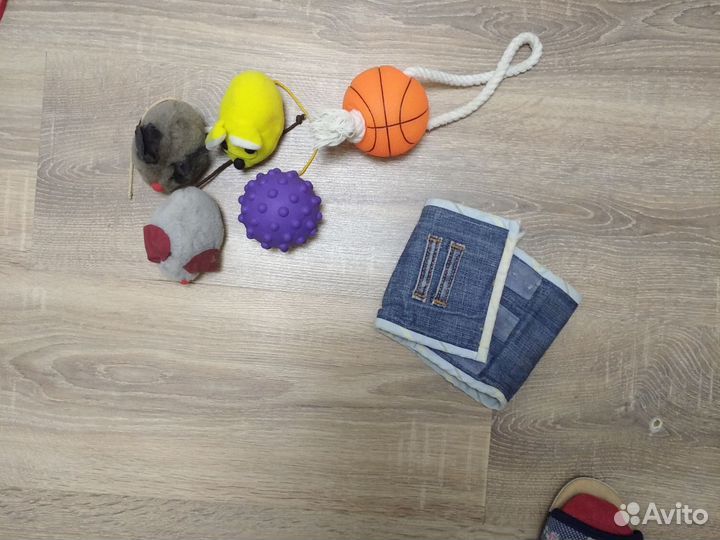 Одежда для собак маленьких и не Очень