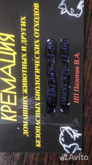 Собаки кремация