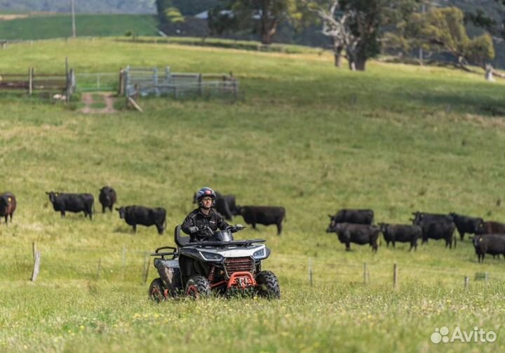 Квадроцикл Segway snarler AT6 SX