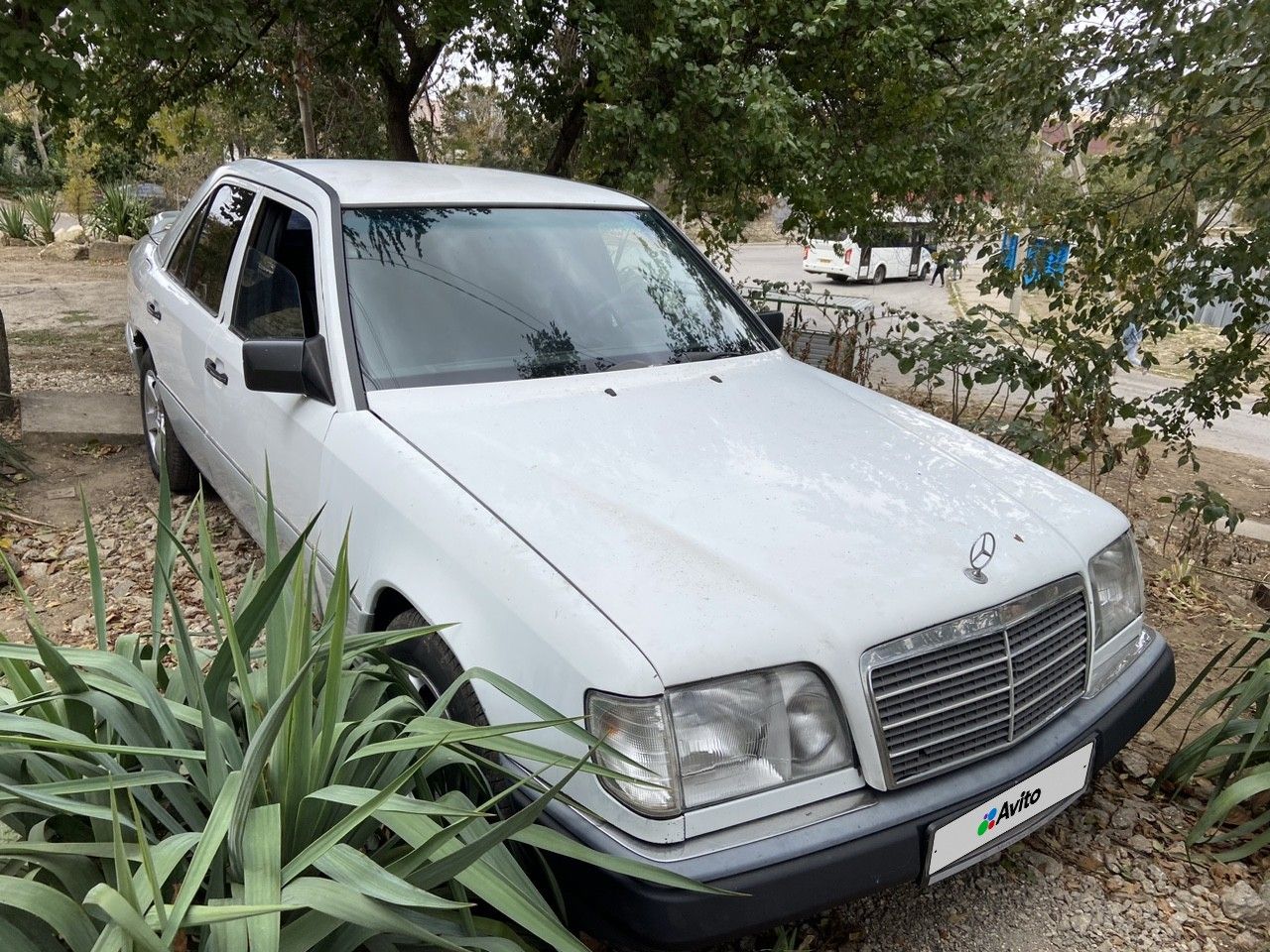 Mercedes-Benz W124: фото владельца