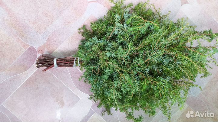 Веники Для бани