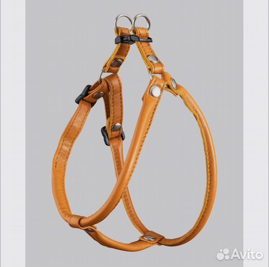 Шлейка для собаки