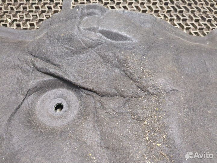 Обшивка капота Ford EcoSport 2017, 2019