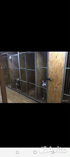 Уютная гостиница для животных 