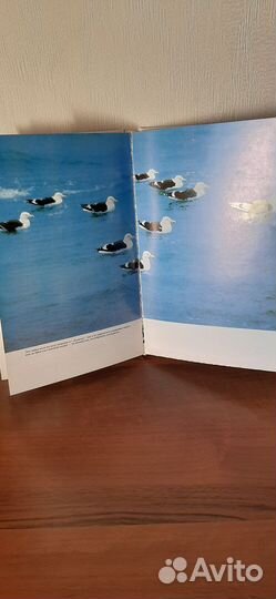 Книги об Арктике и морских путешествиях