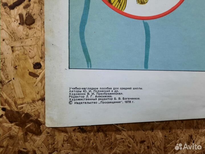 Учебные плакаты СССР