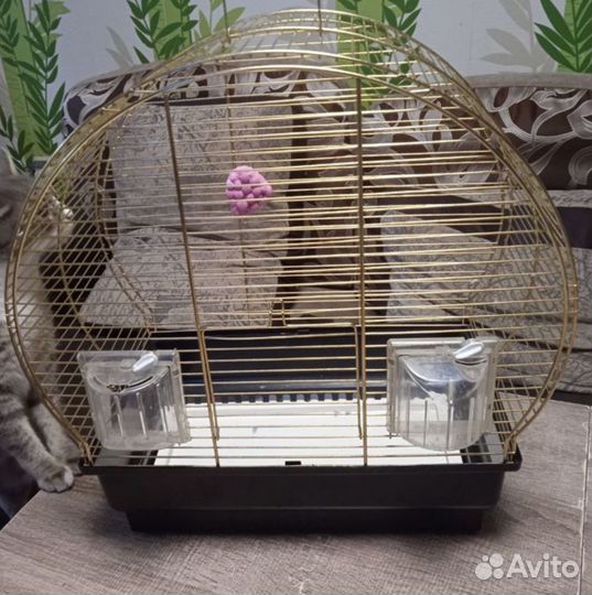 Клетки для птиц