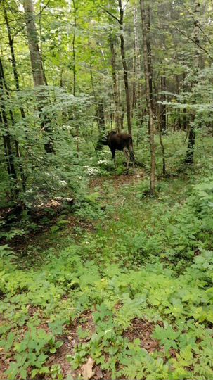 1-к. квартира, 27,5 м², 8/16 эт.