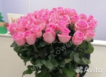 25 роз розы с доставкой 101 роза Букет роз 51 роза