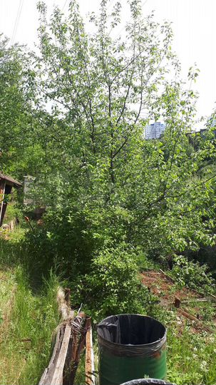 Участок 3 сот. (СНТ, ДНП)