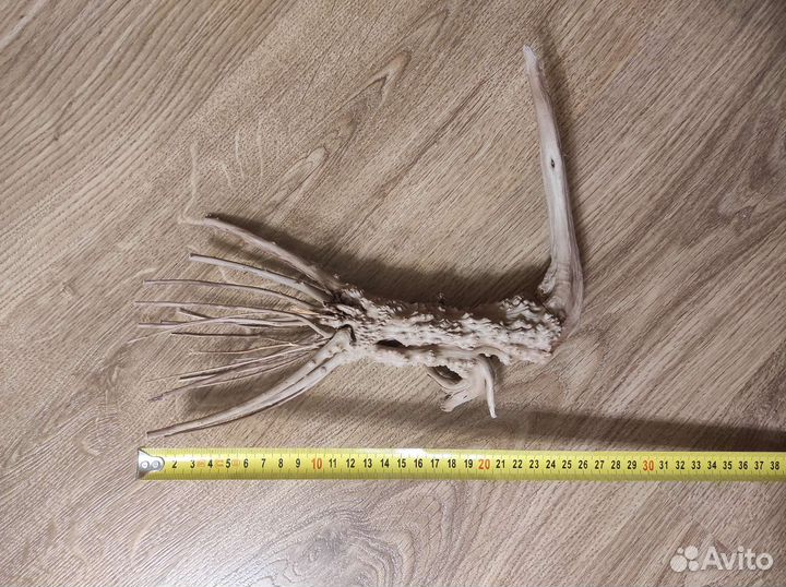 Коряга для аквариума