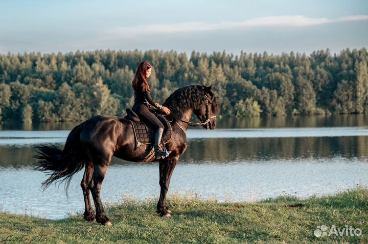 Постой для лошади