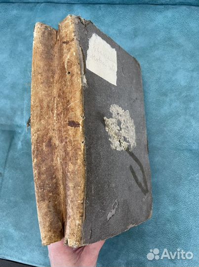 Новый Завет 1822 год