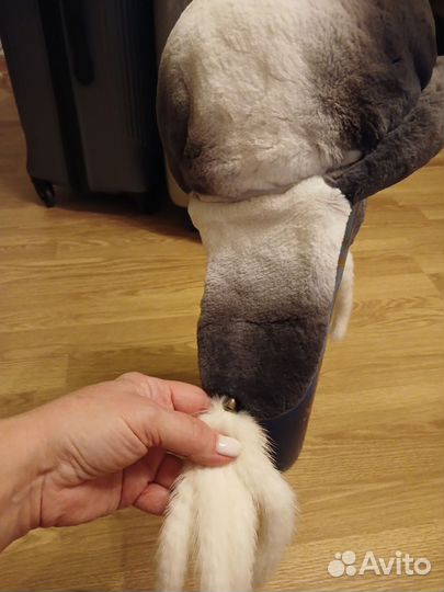 Норковая шапка ушанка