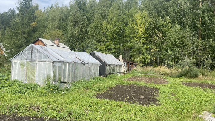 Участок 15 сот. (СНТ, ДНП)