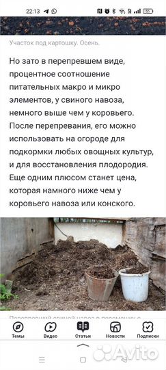 Свинной новоз удобрения