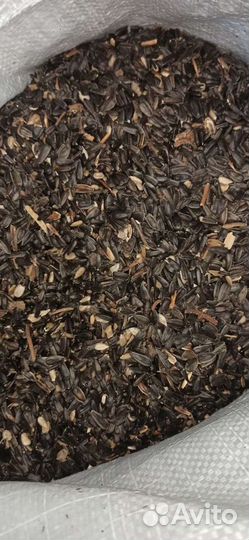 Семечка для птиц