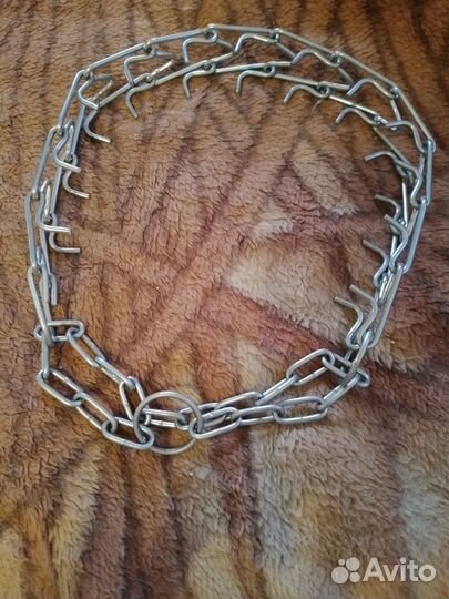 Строгий ошейник