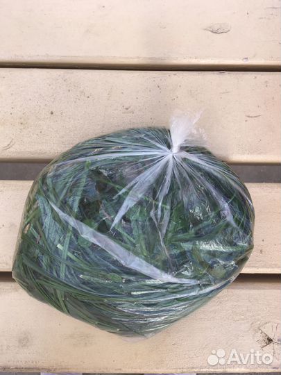 Свежая трава/сено для домашних питомцев