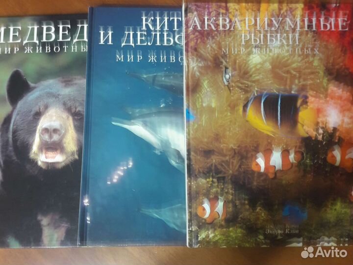 Книги серии 