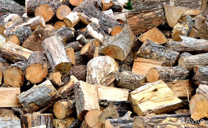 Дрова с Выборга