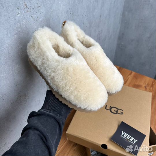 Женские Ugg Hailey Fluff Slippers Natural