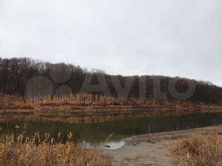 Участок 40,5 сот. (ИЖС)