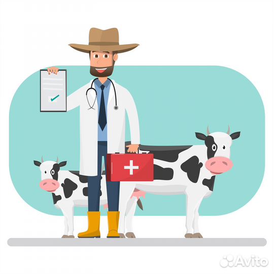 Ветеринарный врач (крс)