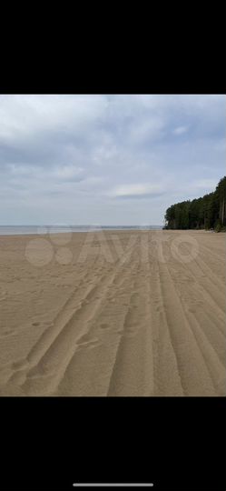 Участок 16 сот. (СНТ, ДНП)