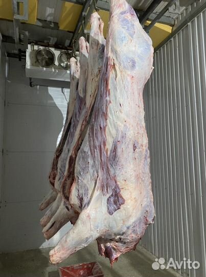 Мясо говядина. Доставка Казань. Фермерское мясо