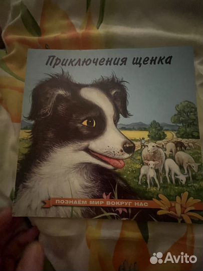 Познаем мир вокруг нас