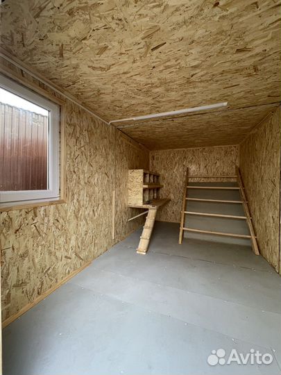 Курятник - Мажор