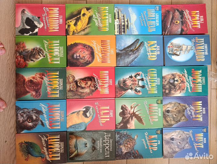 Лот для Александры 3