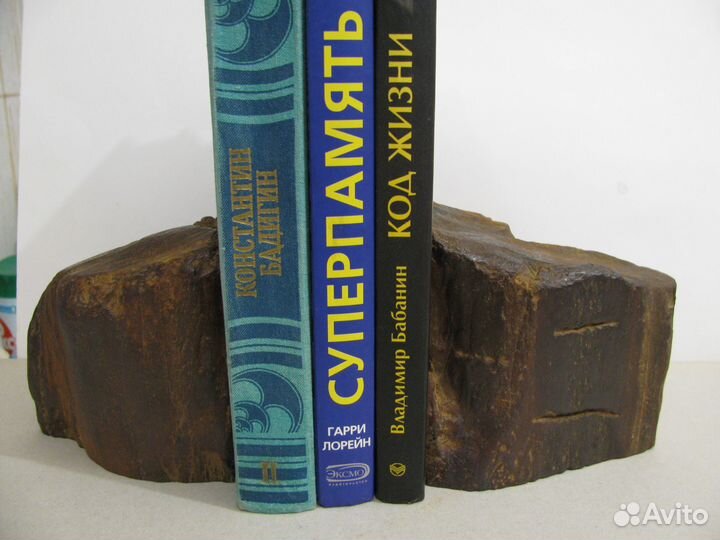 Окаменелое дерево (книгодержатель, пресс-папье)