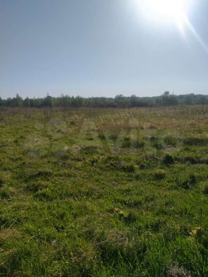 Участок 21,5 сот. (СНТ, ДНП)