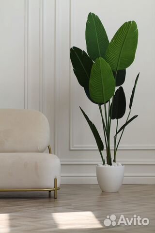 Аренда фотостудии