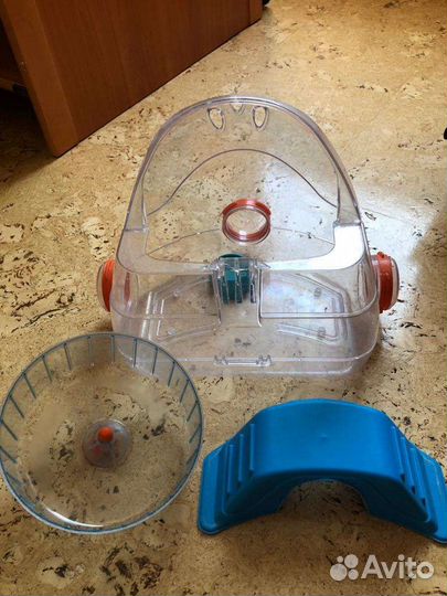 Спортивный зал для хомяка