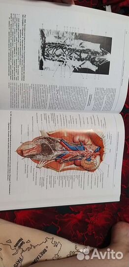 Атлас анатомии человека 3 том Синельников