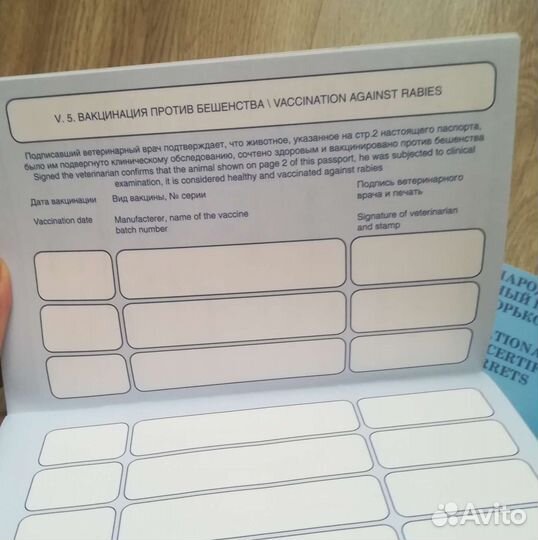 Международный ветеринарный паспорт хорька/фретки