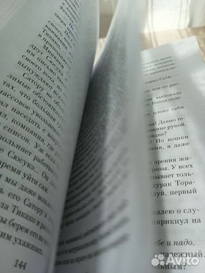 Хроники странствующего кота