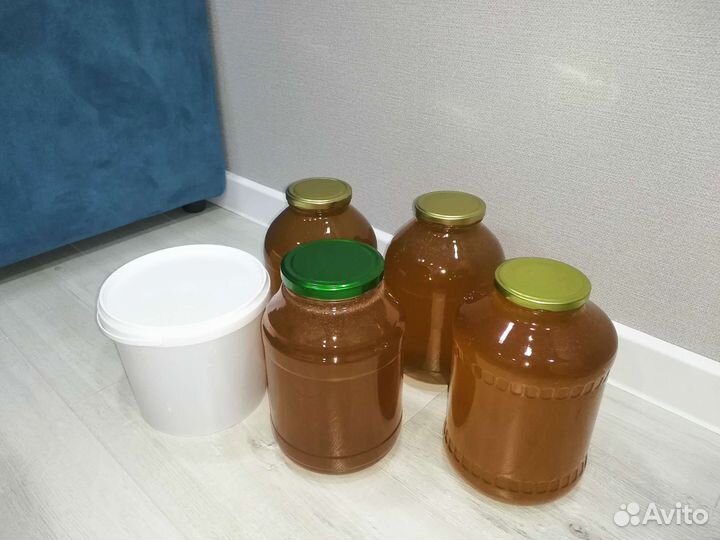 Мёд 2023 года