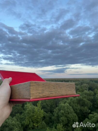 Библия-сейф Supreme оригинал