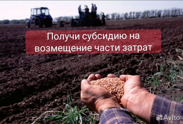 Дизельное топливо оптом