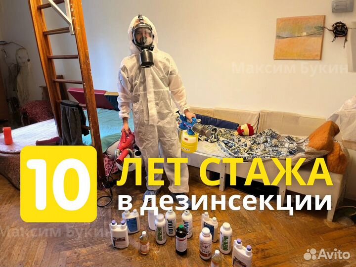 Уничтожение тараканов и клопов. Обработка участка