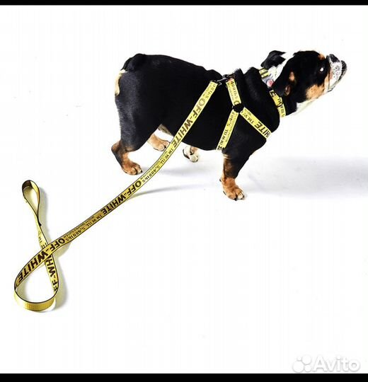 Ошейник с поводком Off Whte