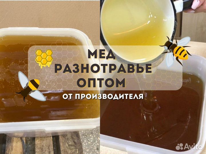Мёд оптом разнотравье